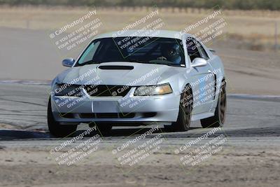 media/Oct-21-2023-Speed Ventures (Sat) [[ddf75163c5]]/Yellow/Grapevine/